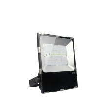 100W Floodlight RGB+CCT Zigbee